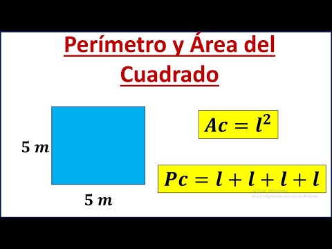 PERÍMETRO Y ÁREA DEL CUADRADO Super fácil - Básico