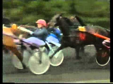 Prix du Bois de Vincennes 1998 -Draga