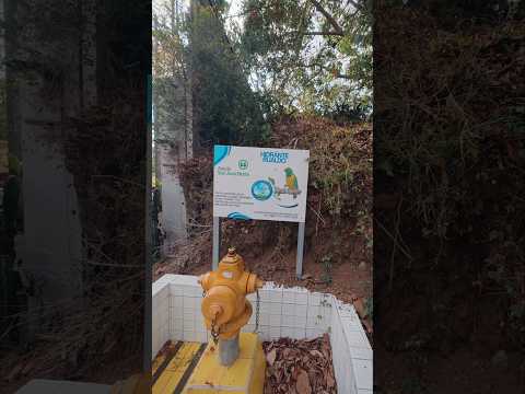 Muy bonita iniciativa de la Asada de San Juan Norte👌| San Juan de Poás, Alajuela #alajuela  #poas