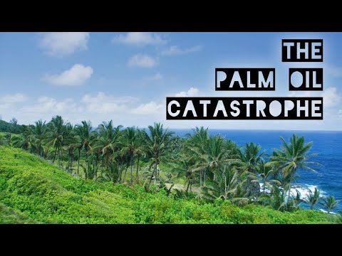 The Palm Oil Catastrophe