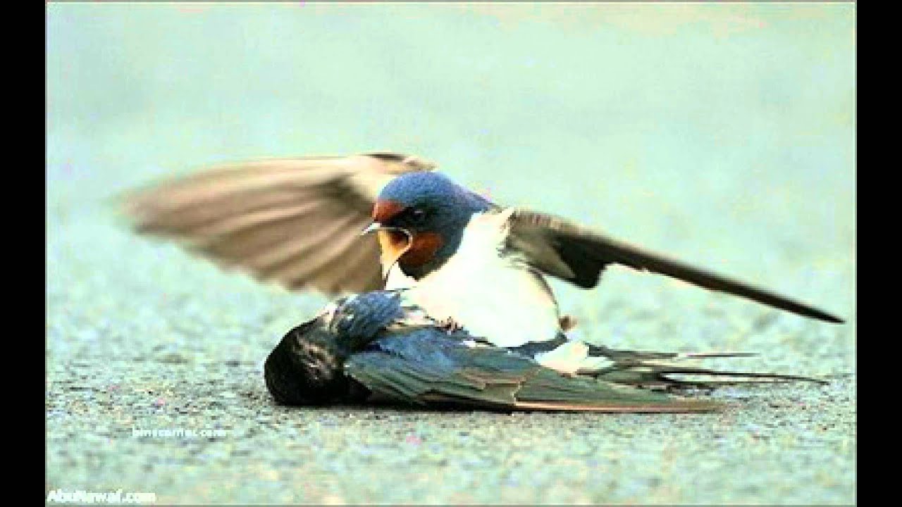 Har Ek Khushi Lyrics  | Andaz-E-Bayan | Anup Jalota | Anup Jalota | Anup Jalota