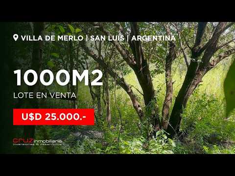Lote Villa de Merlo 1.376 mt² en Despertar del Valle.