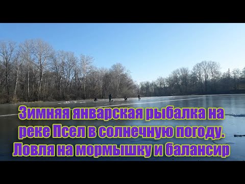 Фото Зимняя январская рыбалка на реке Псел в солнечную погоду. Ловля на мормышку и балансир