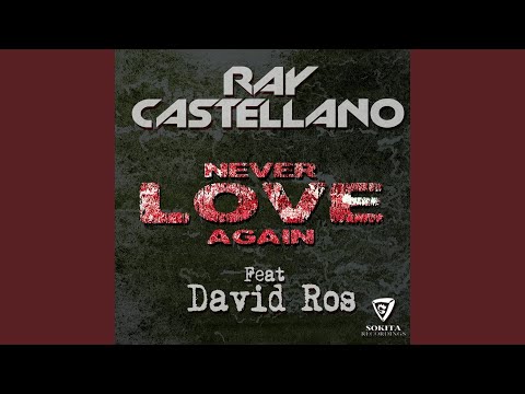 Never Love Again (feat. David Ros)