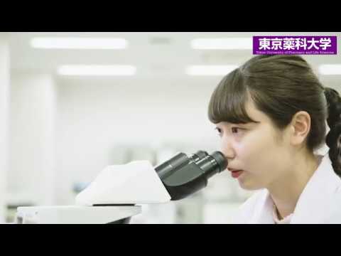 生命医科学科 東京薬科大学紹介ムービー　生命科学部ver.