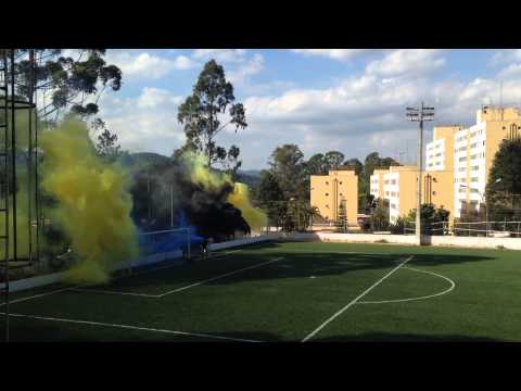 Bote Certo entrando em campo pela Semi Final