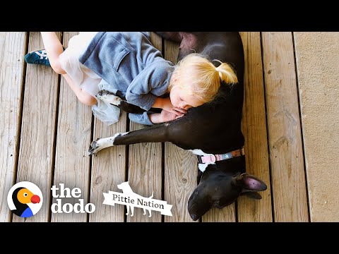 Little Girl's Friendship With Her Pit Bull Is The Purest Thing Ever | The Dodo Pittie Nation