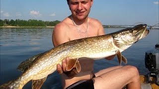 Рыбалка на волге в рыбинске