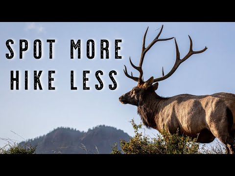 How to Glass for Elk and Mule Deer - Hunting Tips and Tactics