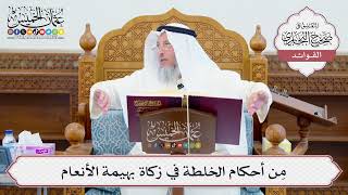 [639] مِن أحكام الخلطة في زكاة بهيمة الأنعام - عثمان الخميس