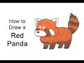 How to draw a Red Panda (Cartoon)