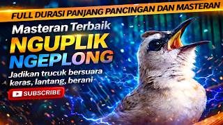 Download lagu TRUCUKAN GACOR NGUPLIK || pancingan, masteran terbaik untuk trucuk dan burung lainya mp3