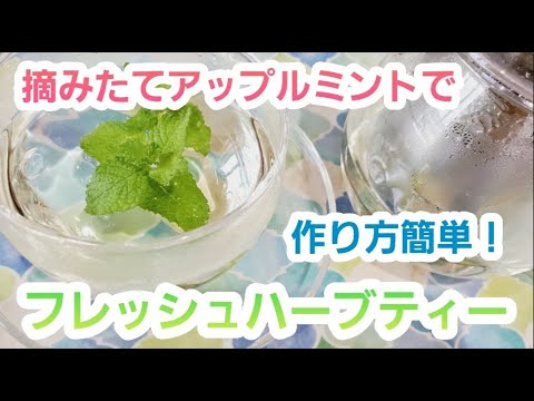 ペパーミントティーの作り方、使い方、効果 植物