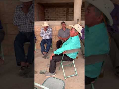 La Banda de San Vicente mole colonia San Marcos municipio de copanatoya 7352718127 sr Carlos rojas.