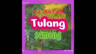 Download lagu Dj Batak Tulang semongko mp3
