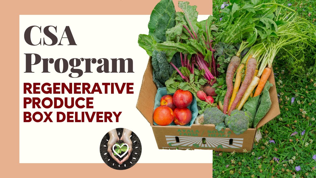 Adapting a Small Scale Farm's CSA Produce Delivery Program