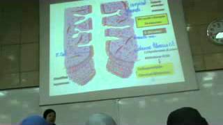dr gehan female genital system 2 " Fallopian tube - Uterus - Menstrual cycle"