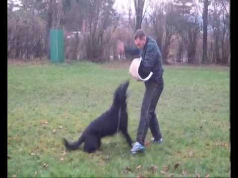 Fantom ze Stříbrného kamene