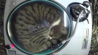 ATP Recordings Sampler - Side Pyewacket - Built To Spill - Never Be The Same