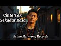 Cinta Tak Sekadar Rasa Lagu Romantis Penuh Makna Nasihat Cinta Official Lyric Video