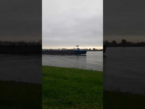Barge 🌐 #123 Barka/ Binnenschip Eiltank 50 🌍 Rhoon - Nederland  #shorts