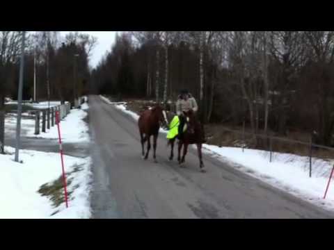 Sir Hyde och Rocky, december 2013