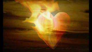 &quot;K&quot; Kidney Thieves&quot;