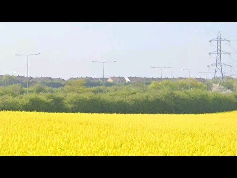 Secondcity & Paul Woolford feat. Andrea Martin - All I Want