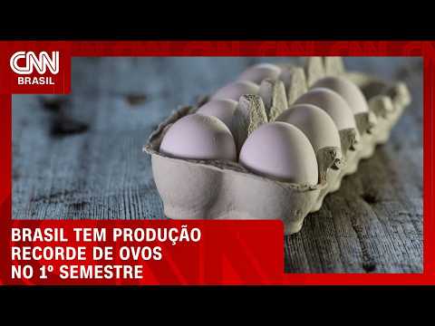 Produção de ovos no Brasil bate recorde no primeiro semestre | CNN AGRO NEWS