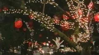 preview picture of video 'Santa Fé do Sul Sonho de Natal 2006 Flores de garrafa pet árvore natal garrafa pet'