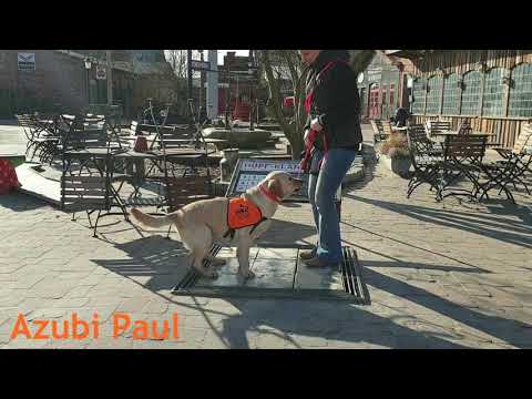 Fußorgel Spencer und Paul, 22 02 19