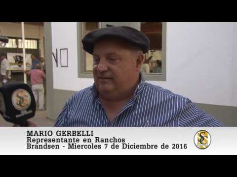 07-12-16 Nota Mario Gerbelli - Rep. Ranchos - Jauregui Lorda - Brandsen.
