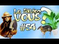 Le Saviez-Vous ? # 54 [Anecdotes Historiques et Insolites]