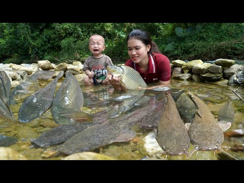 Encounter a huge school of Fish - Catch Fish with your kids on a hot day - Cooking with your kids.