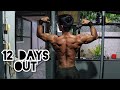 THICKNESS AND WIDTH | 12 DAYS OUT