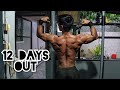 THICKNESS AND WIDTH | 12 DAYS OUT