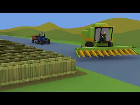 Cartoons for children about Tractors and farmers - A small farm and Colorful Tractors for Children