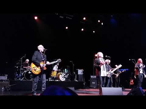 The Pretty Things ft. David Gilmour - Baron Saturday