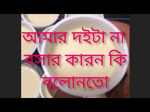 দই না বসার কারন কি|দই|সামিয়া বাংলা টিভি |Samiya Bangla TV