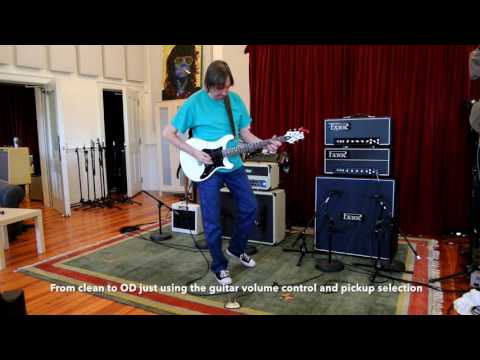 Park SA-412BL-260 (Angled Grill) - 4x12" Style A Angled Cab. Celestion Greenback image 5