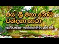 අනුරාධපුර ජය ශ්‍රී මහා බෝධි වන්දනා ගා�