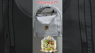 Pardo com 62 dias (gravado 04/02/25) 