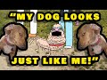 Dogs Who Look Like Their Owners