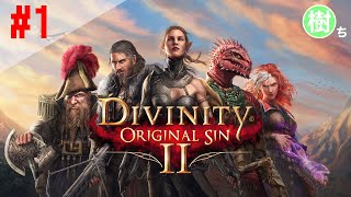 #1 Divinity: Original Sin 2をプレイ【RPG】