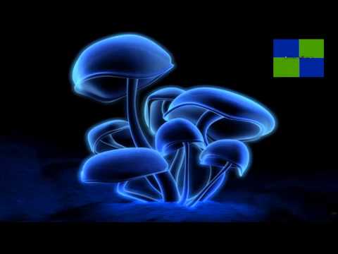 DJAlissonMarcos - The Chronicles Of Narnia - Arrival At Aslan's How (Dave Dee! Bootleg Mix)