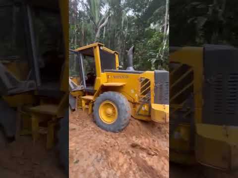 Daniel Masiero cujubim Rondônia