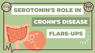 Serotonin’s Role in Crohn’s Disease Flare Ups