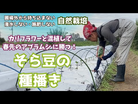 ベンスルタップ