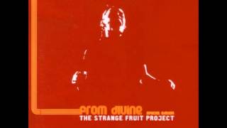 Hasta Luego   Strange Fruit Project