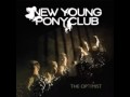 New Young Pony Club - Architect of Love 